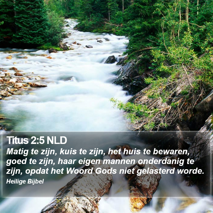 Titus 2:5 NLD Bible Study