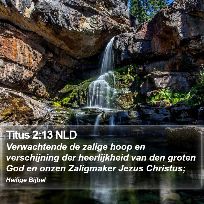 Titus 2:13 NLD Bible Study