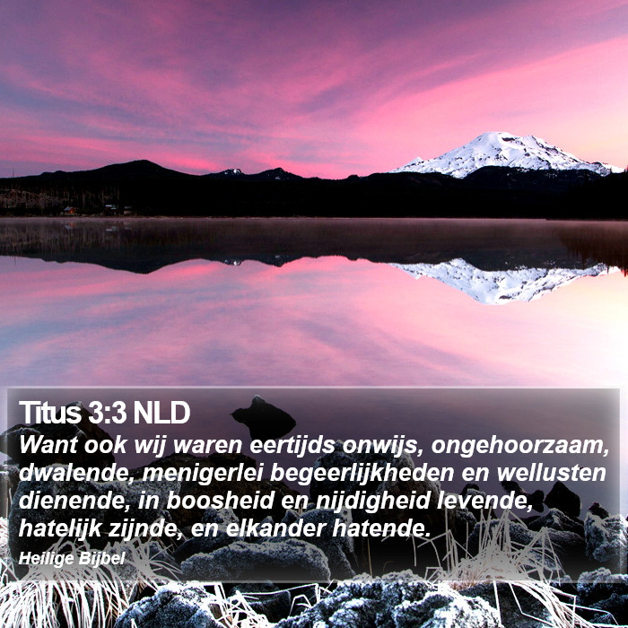 Titus 3:3 NLD Bible Study