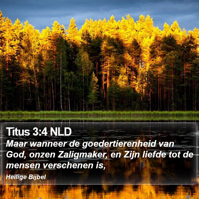 Titus 3:4 NLD Bible Study