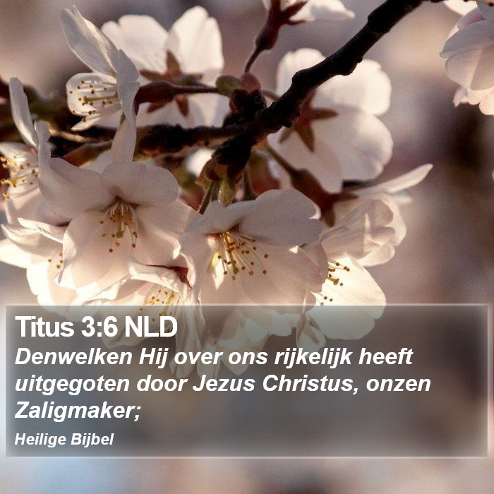 Titus 3:6 NLD Bible Study