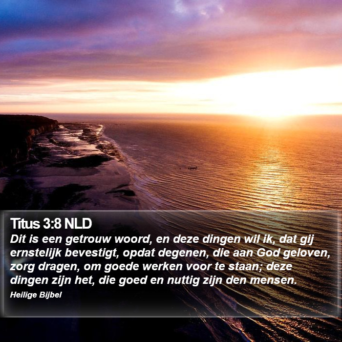 Titus 3:8 NLD Bible Study