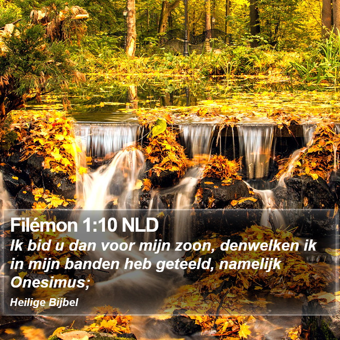 Filémon 1:10 NLD Bible Study