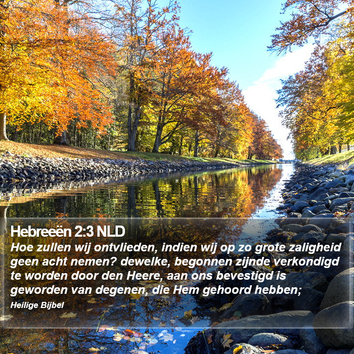 Hebreeën 2:3 NLD Bible Study