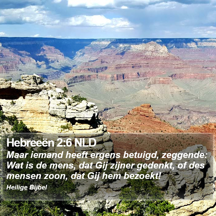 Hebreeën 2:6 NLD Bible Study