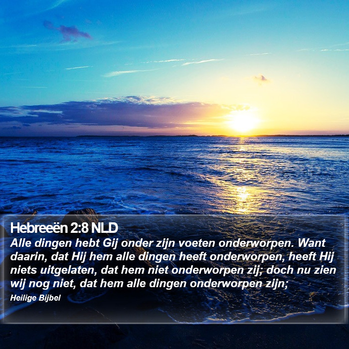 Hebreeën 2:8 NLD Bible Study