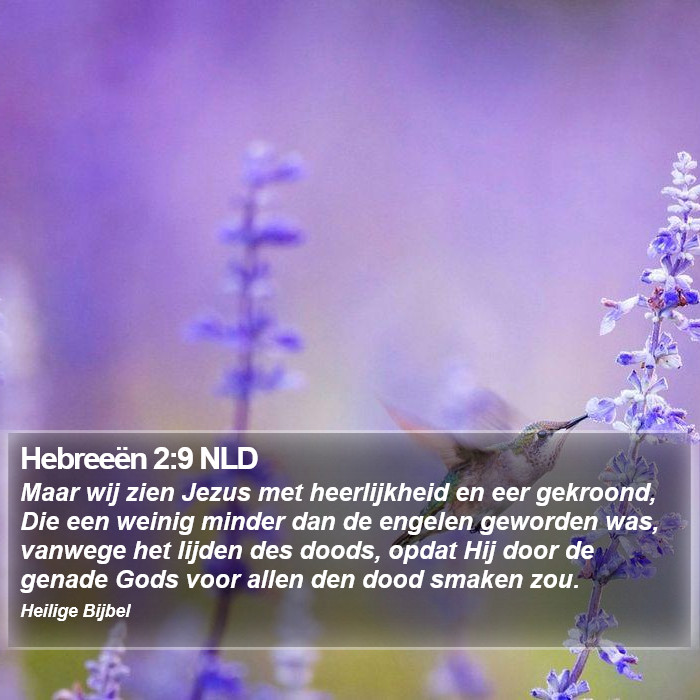 Hebreeën 2:9 NLD Bible Study