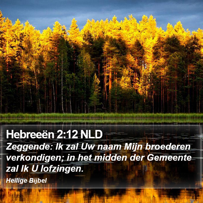 Hebreeën 2:12 NLD Bible Study