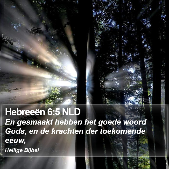 Hebreeën 6:5 NLD Bible Study