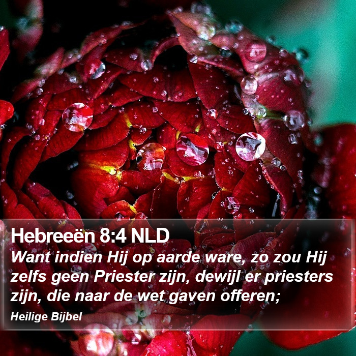 Hebreeën 8:4 NLD Bible Study