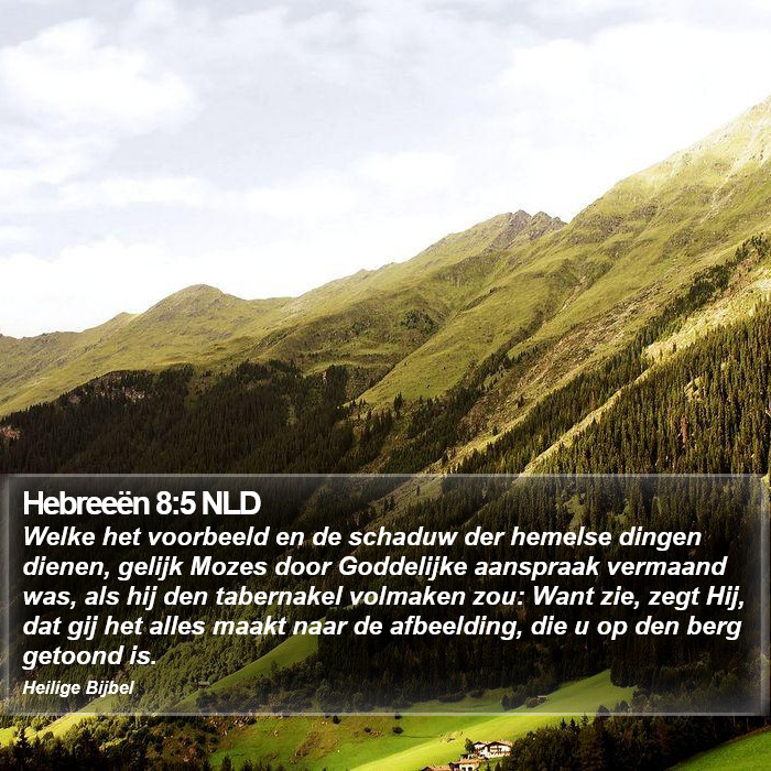 Hebreeën 8:5 NLD Bible Study