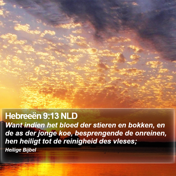 Hebreeën 9:13 NLD Bible Study