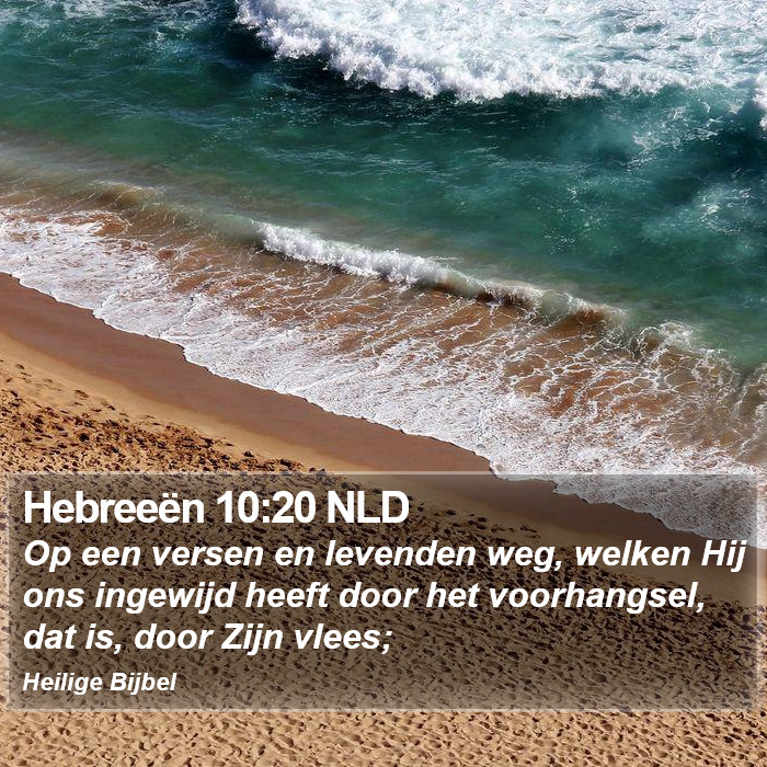 Hebreeën 10:20 NLD Bible Study