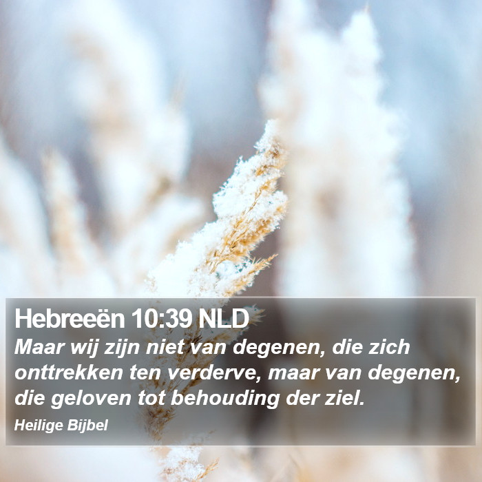 Hebreeën 10:39 NLD Bible Study