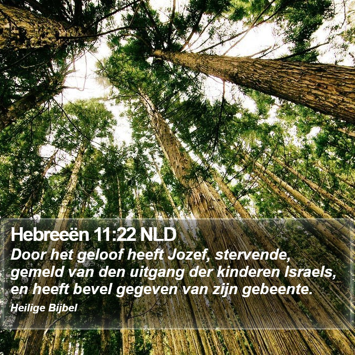 Hebreeën 11:22 NLD Bible Study