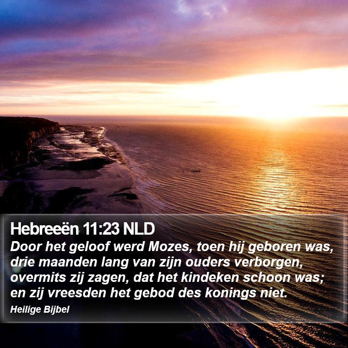 Hebreeën 11:23 NLD Bible Study