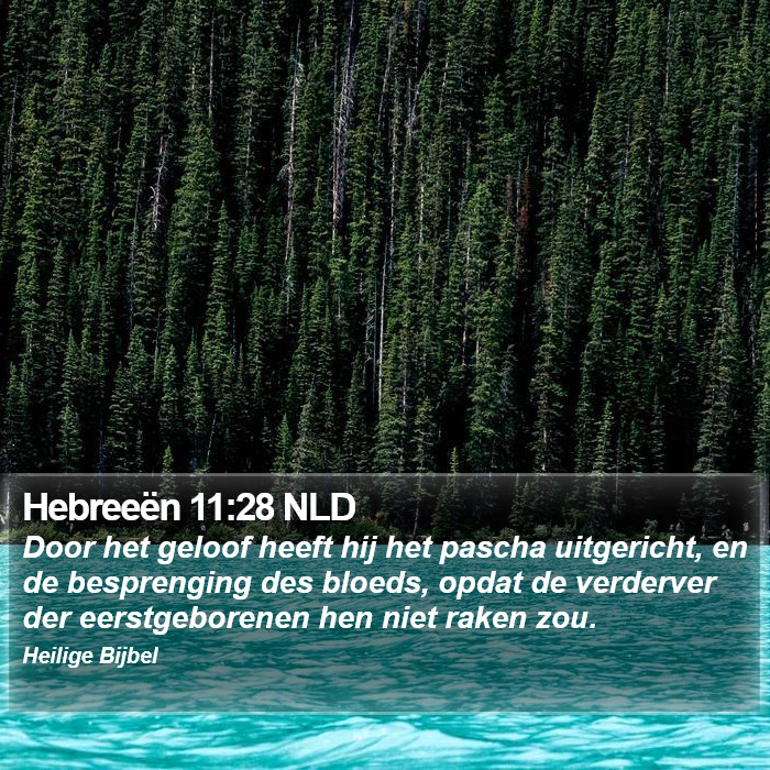 Hebreeën 11:28 NLD Bible Study