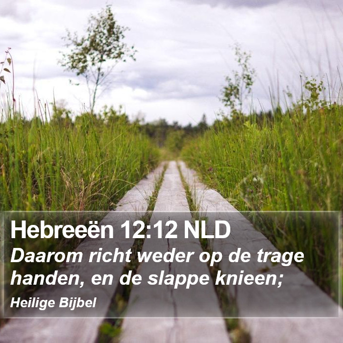 Hebreeën 12:12 NLD Bible Study