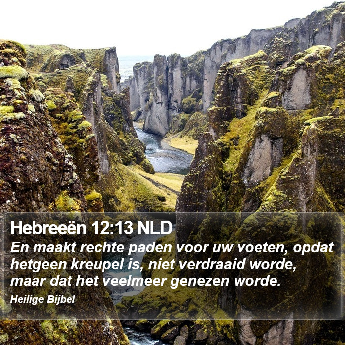 Hebreeën 12:13 NLD Bible Study