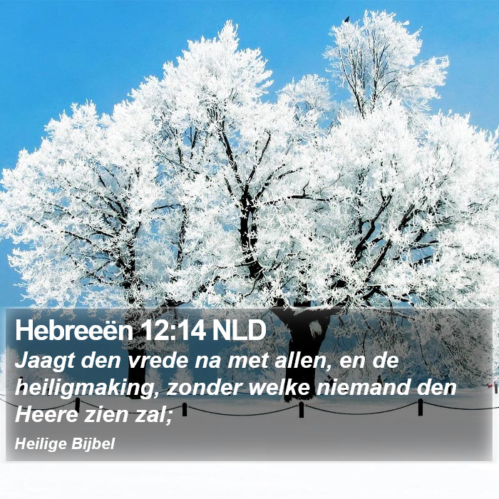 Hebreeën 12:14 NLD Bible Study
