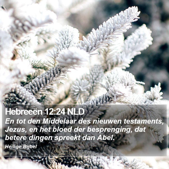 Hebreeën 12:24 NLD Bible Study
