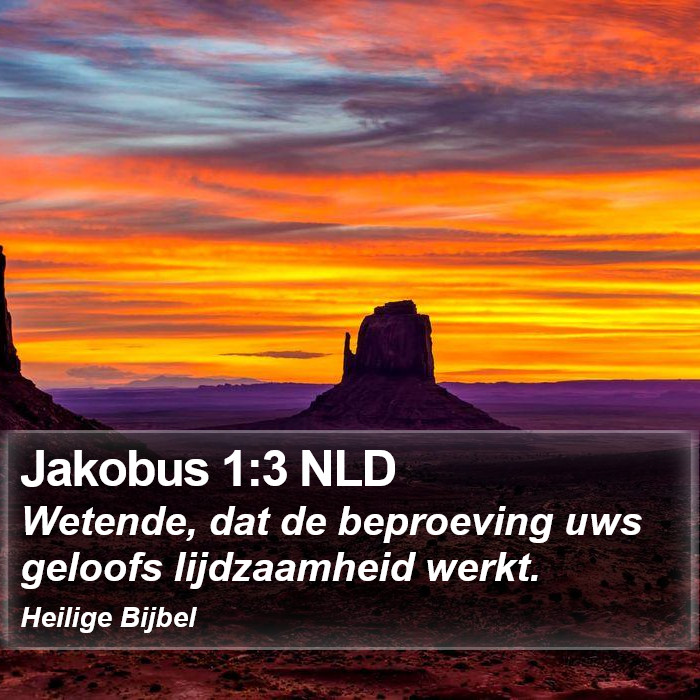 Jakobus 1:3 NLD Bible Study