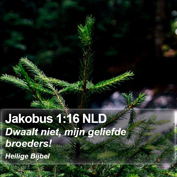 Jakobus 1:16 NLD Bible Study