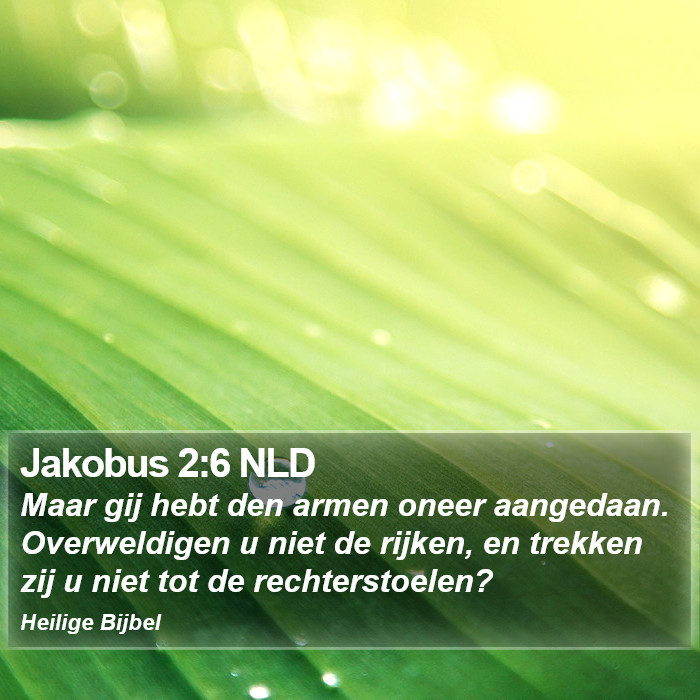 Jakobus 2:6 NLD Bible Study