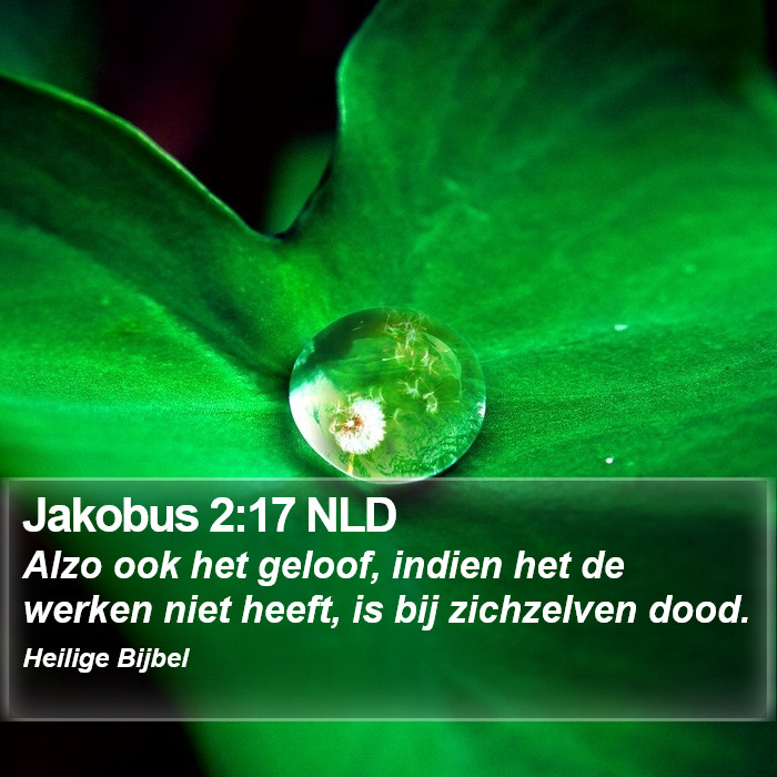 Jakobus 2:17 NLD Bible Study