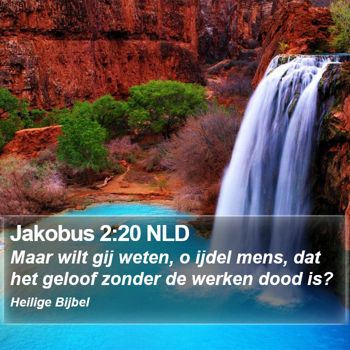 Jakobus 2:20 NLD Bible Study