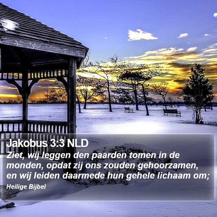 Jakobus 3:3 NLD Bible Study
