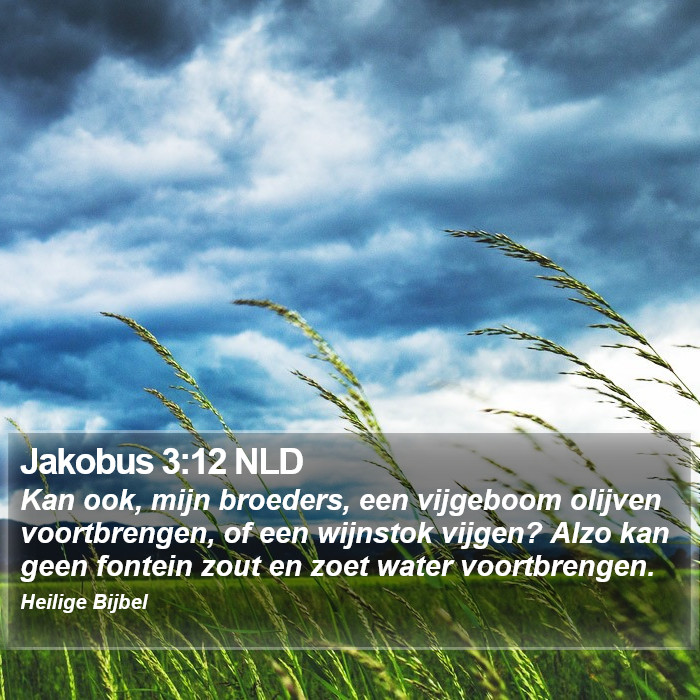 Jakobus 3:12 NLD Bible Study