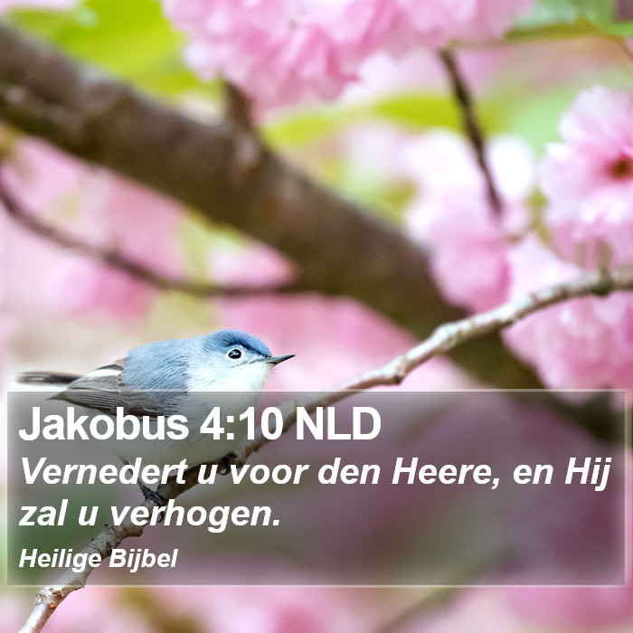 Jakobus 4:10 NLD Bible Study