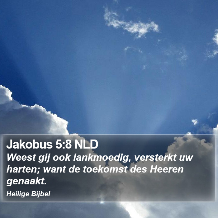 Jakobus 5:8 NLD Bible Study