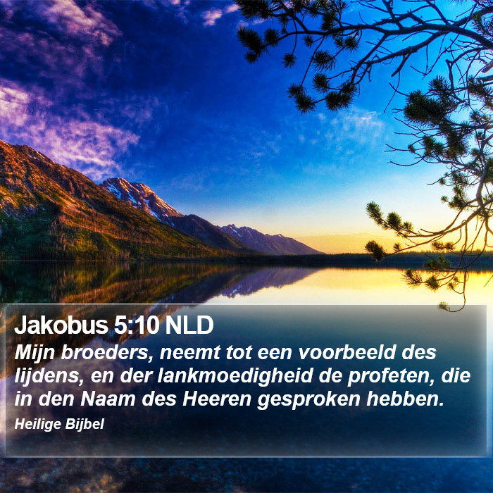 Jakobus 5:10 NLD Bible Study