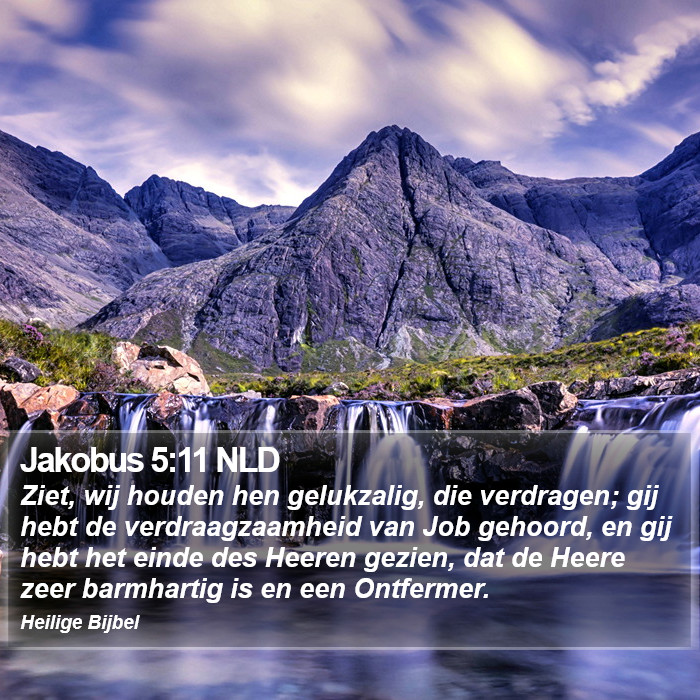 Jakobus 5:11 NLD Bible Study