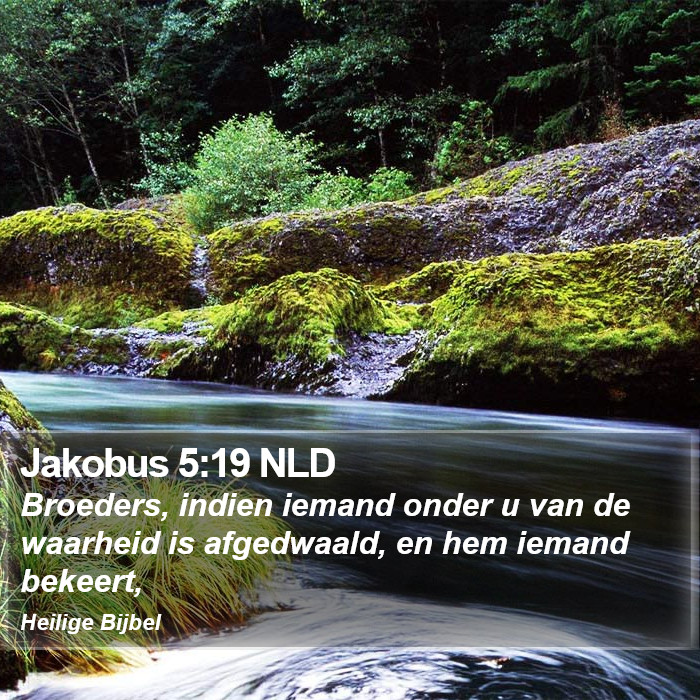 Jakobus 5:19 NLD Bible Study