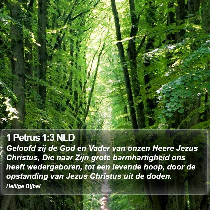 1 Petrus 1:3 NLD Bible Study