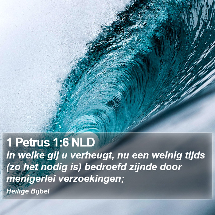 1 Petrus 1:6 NLD Bible Study