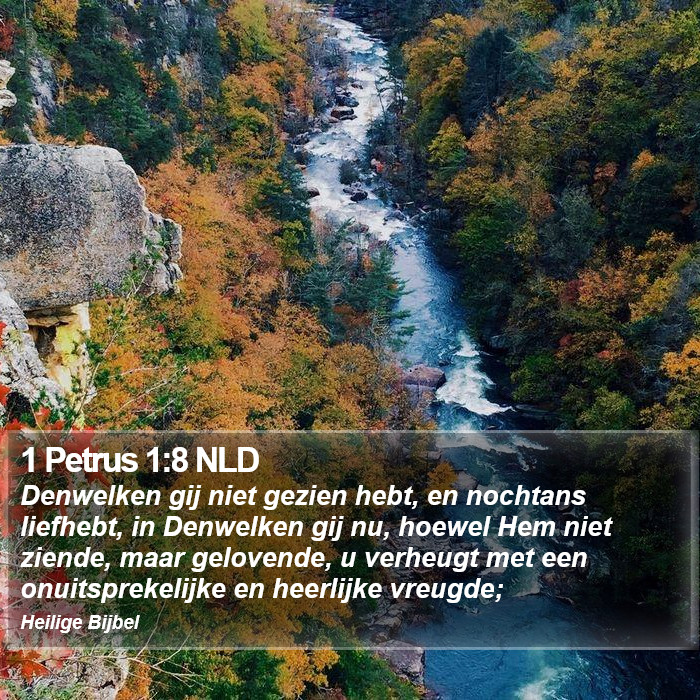 1 Petrus 1:8 NLD Bible Study