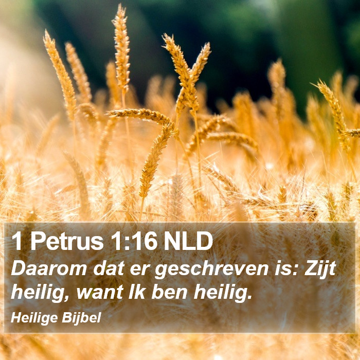 1 Petrus 1:16 NLD Bible Study