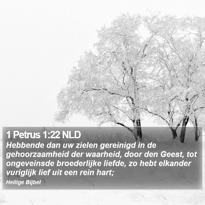 1 Petrus 1:22 NLD Bible Study