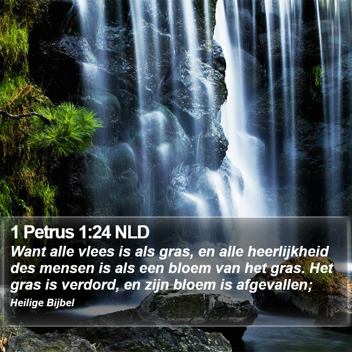 1 Petrus 1:24 NLD Bible Study