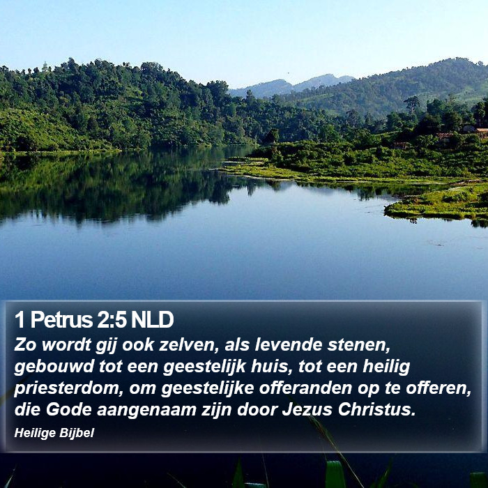 1 Petrus 2:5 NLD Bible Study