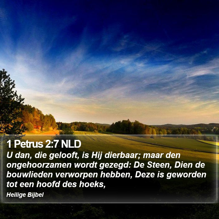 1 Petrus 2:7 NLD Bible Study