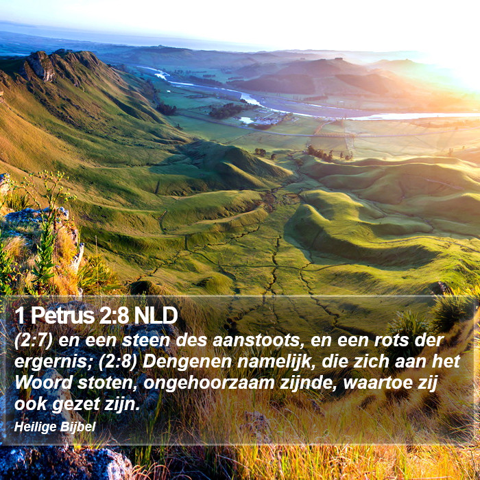 1 Petrus 2:8 NLD Bible Study