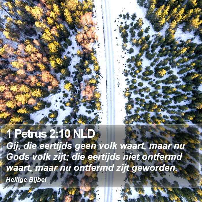 1 Petrus 2:10 NLD Bible Study