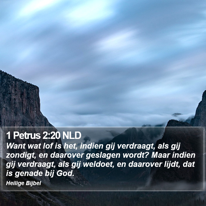 1 Petrus 2:20 NLD Bible Study