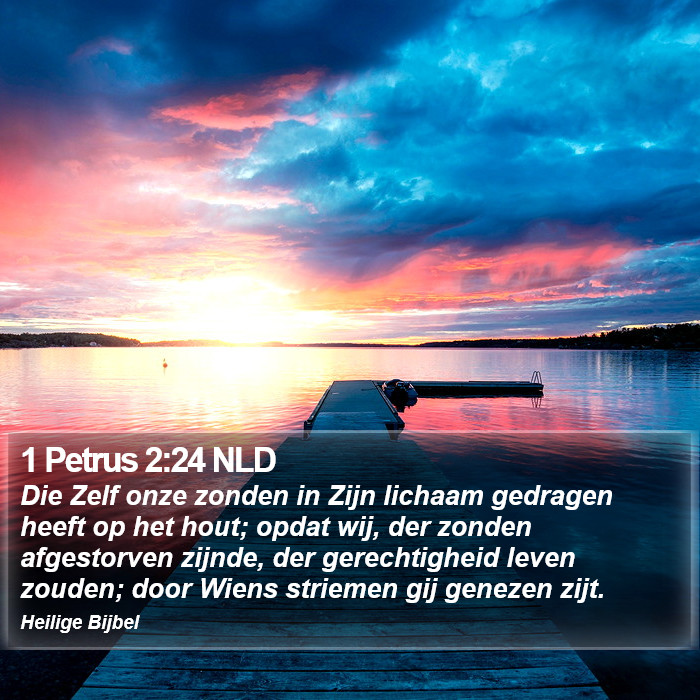 1 Petrus 2:24 NLD Bible Study