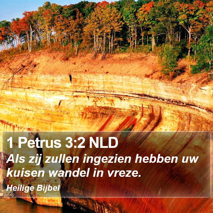 1 Petrus 3:2 NLD Bible Study